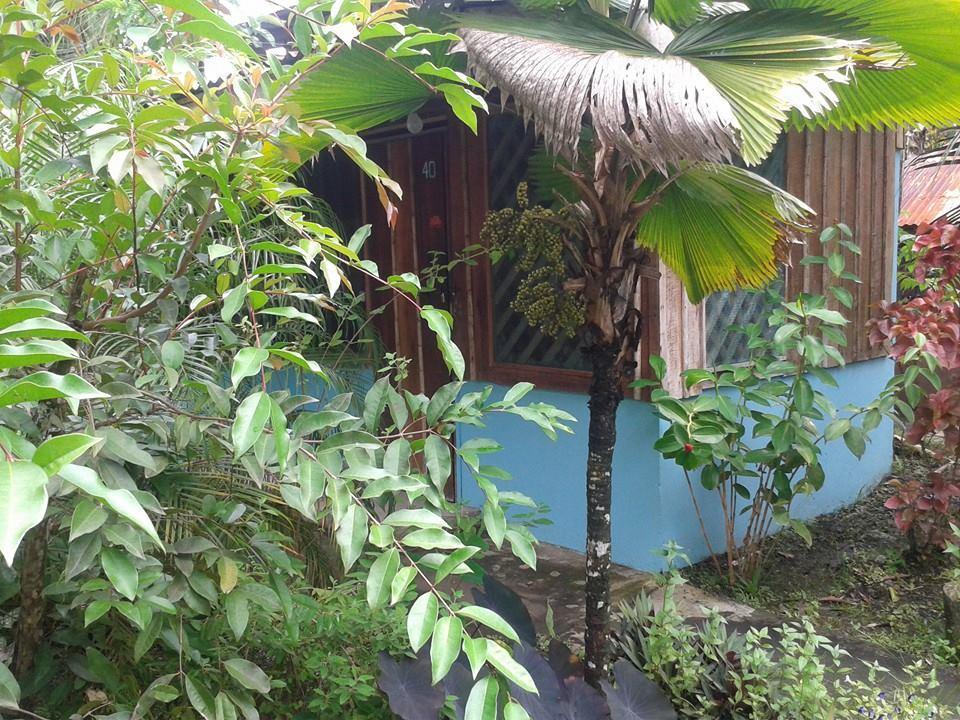 Hotel Puerto Viejo Puerto Viejo de Talamanca Kültér fotó