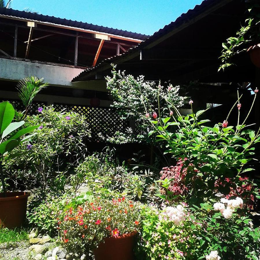 Hotel Puerto Viejo Puerto Viejo de Talamanca Kültér fotó